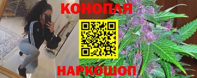 индика Обнинск