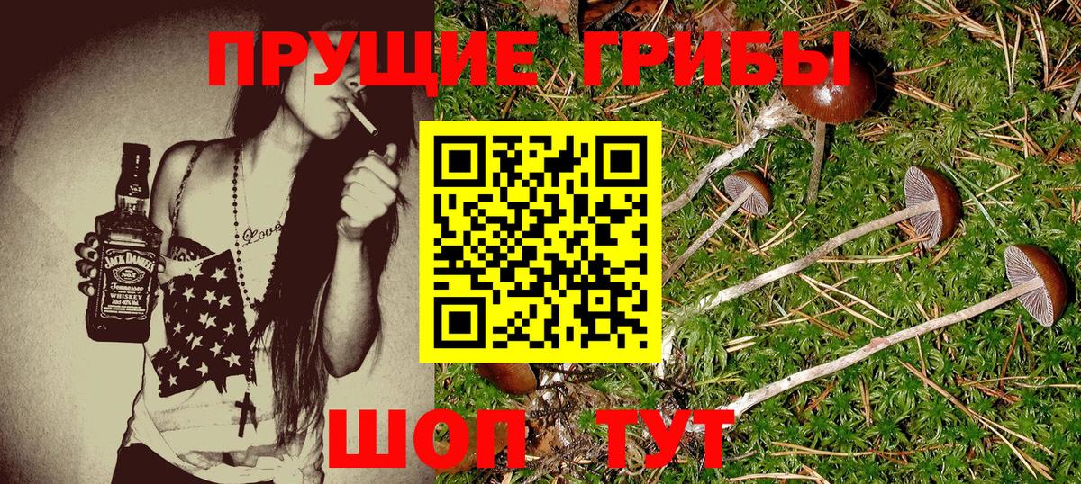 Галлюциногенные грибы Magic Shrooms Россошь