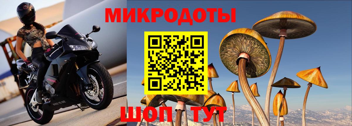Галлюциногенные грибы прущие грибы  Вход с VPN  Россошь 